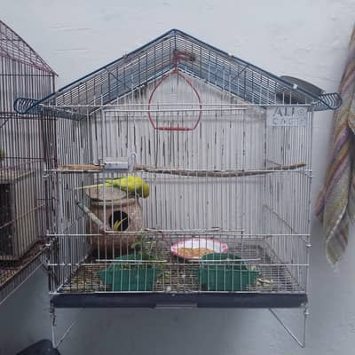 selling parrots 16 pieces with small cage
