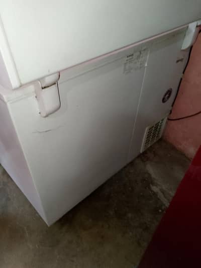 waves single door  freezer in good condition