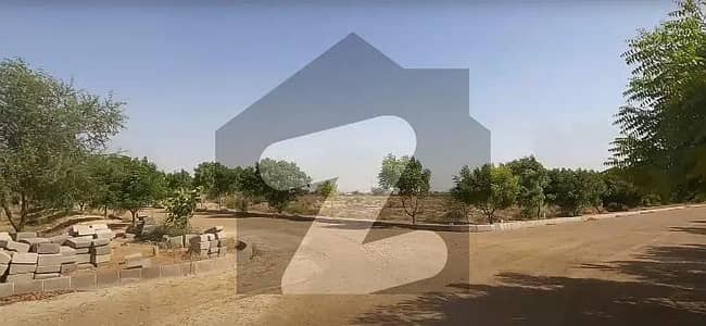 Prime Location 240 Square Yards Plot In PIA Society