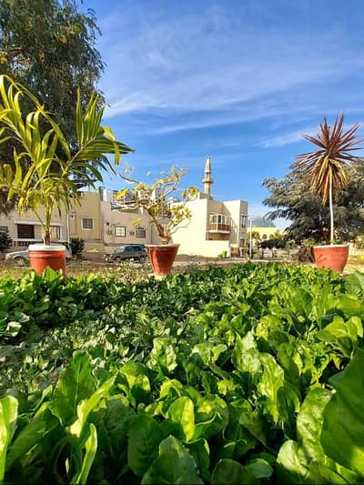 Centrally Located Residential Plot In Naya Nazimabad - Block D Is Available For sale