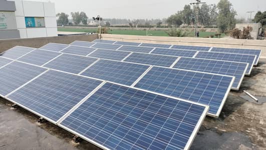 professional Electrician