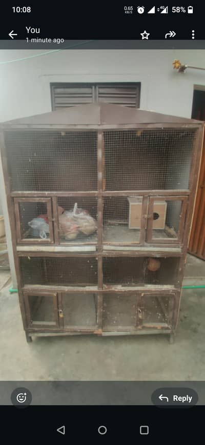 birds pinjra with dolian