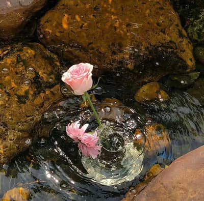 چھوٹے بچے کو سنبھالنے کے لیے