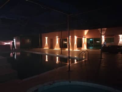 Palm Village Farmhouse Eid Mubarak Offer