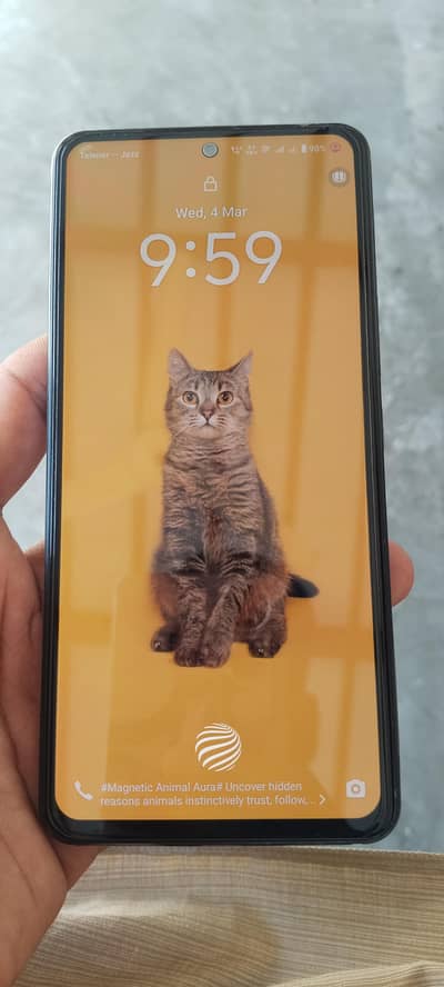 vivo V27e (8+8/256gb)