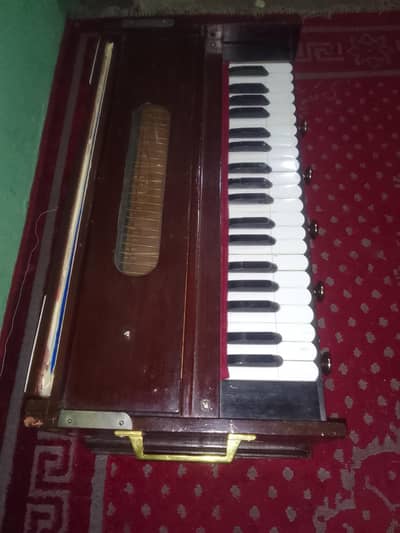 harmonium reed indain Bargva