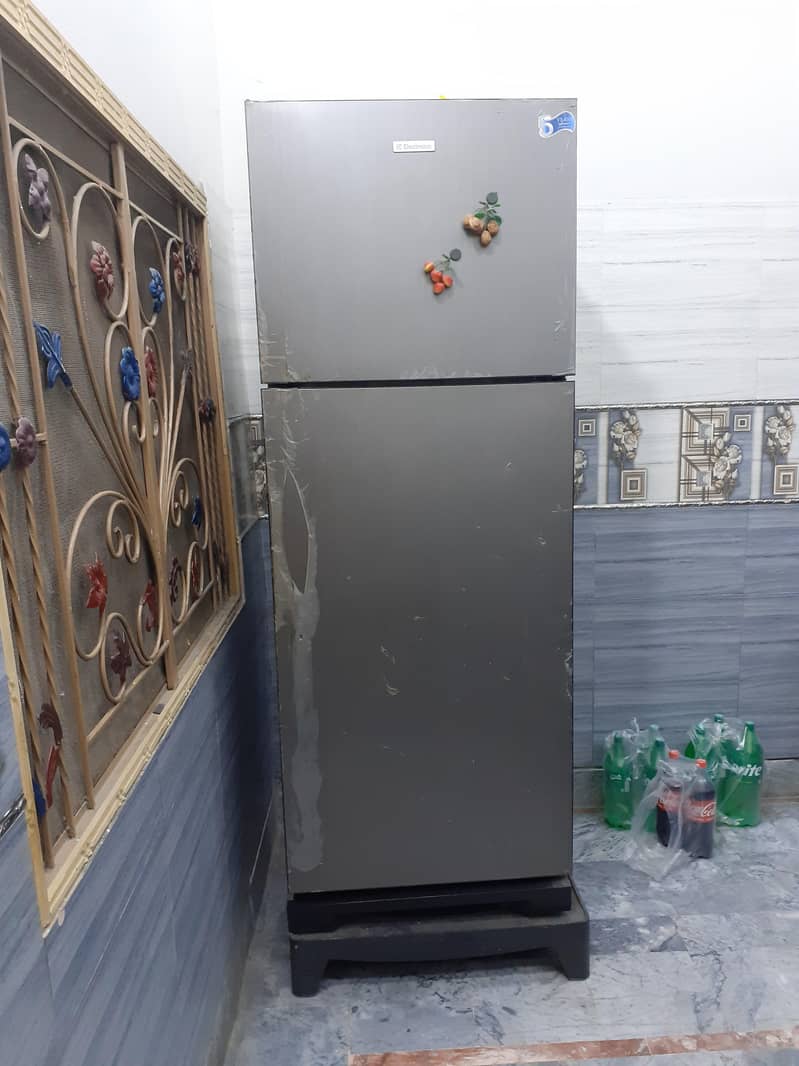 Extra stroage large Electrolus 0