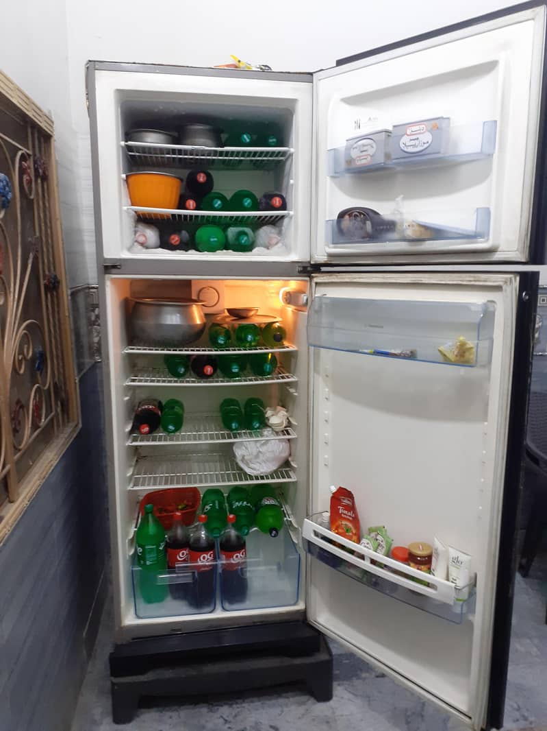 Extra stroage large Electrolus 1