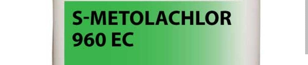 S Metolachlor