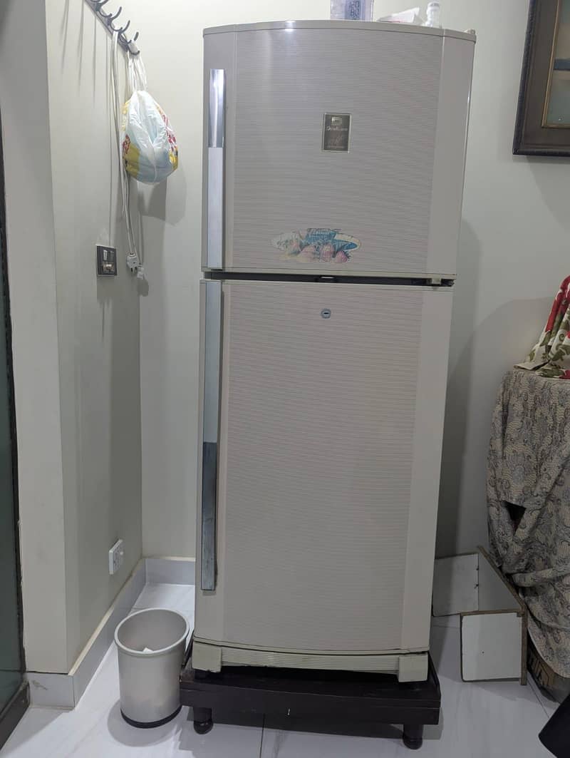 Large Fridge 0