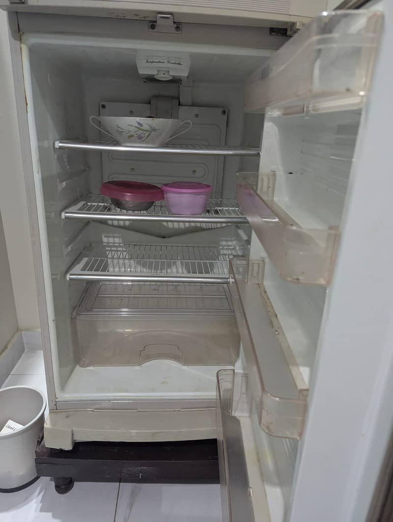Large Fridge 2