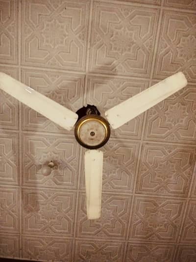 selling fan