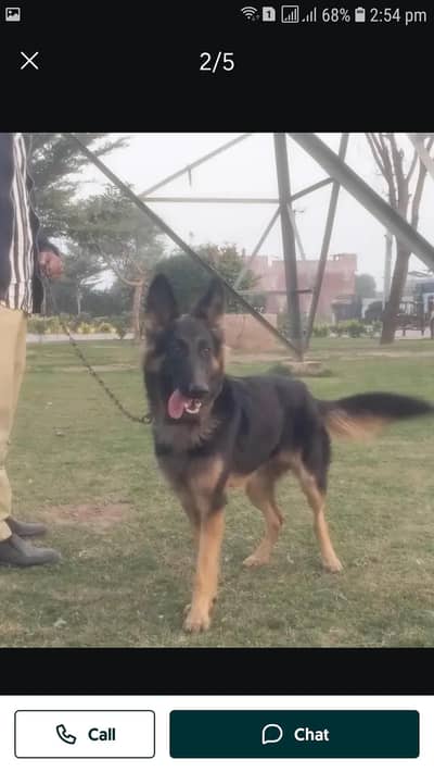 for sail wats03009187129