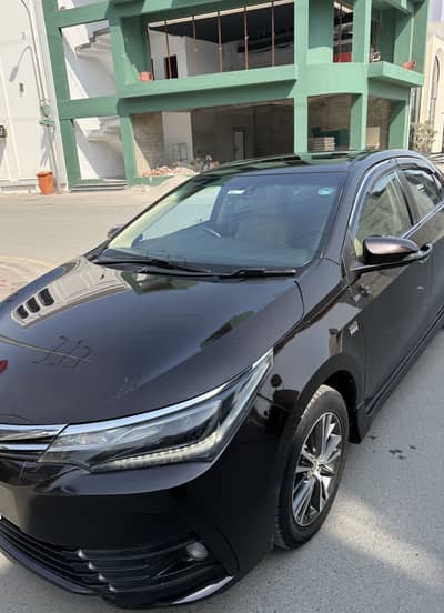 Grande 2018 B2B genuine