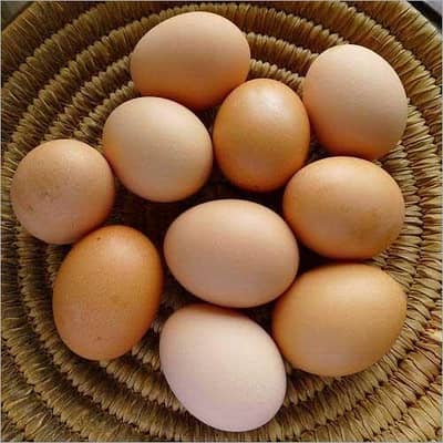 Fresh Organic Eggs
