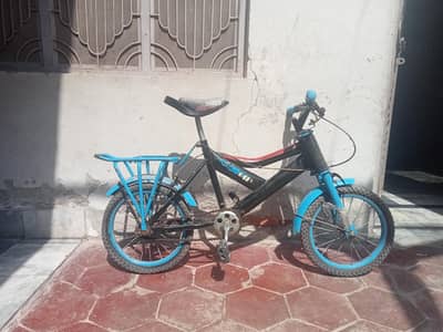 bicycle for kids