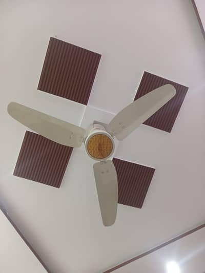 royal ceiling fan