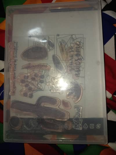 Stampin' Up - Flowering Desert,Photopolymer