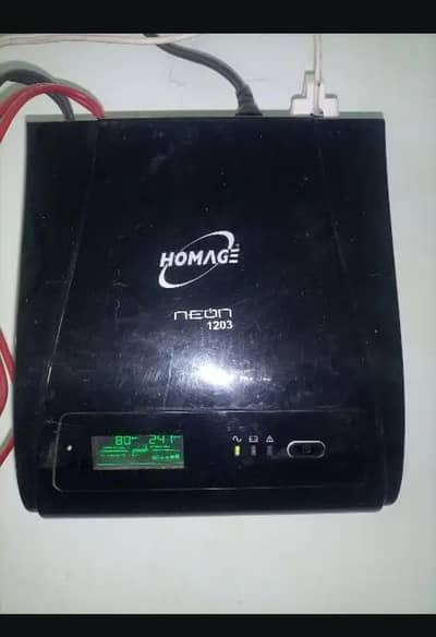 homage ups 1000watt 12volt