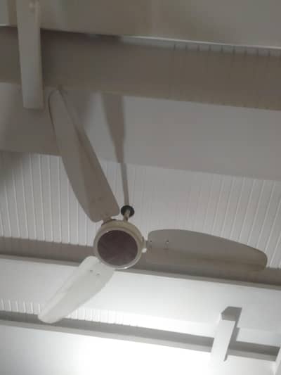 2 Royal ceiling fans for sale