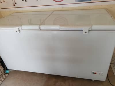 Haier double door Full jumbo size freezer
