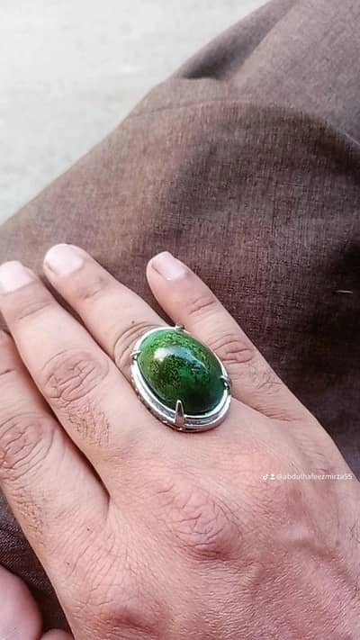 irani hussaini feroza