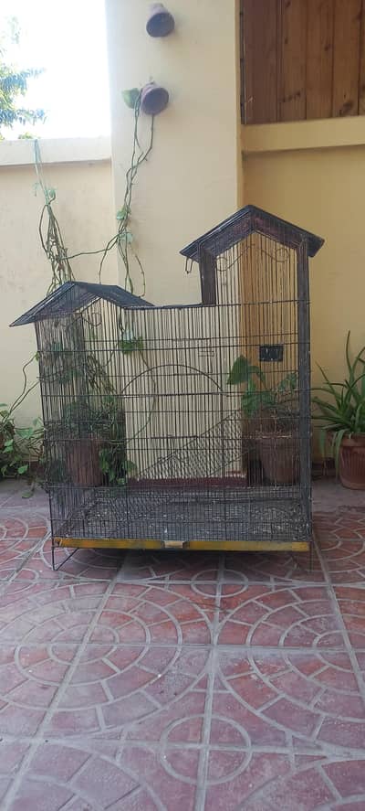 beautiful cage available for sale