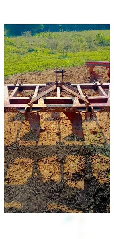 پانچ پھالی ھل فار سیل