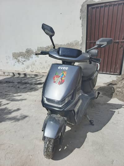 03005367822  eveee gen z