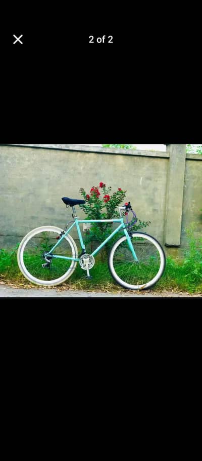 Alton japanese hybrid bicycle for sale