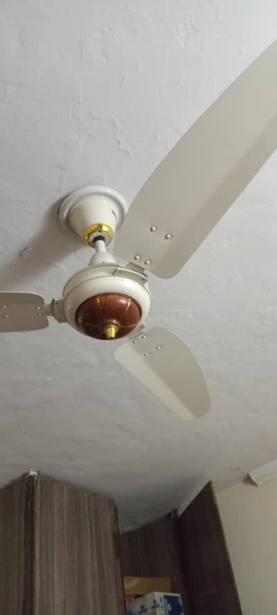 Royal Fan new condition