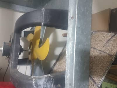 lahore colar for sale at low price (dc colar)