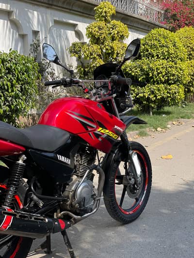 Yamaha ybr 125G  for sale like new condition total genuine#03291320008