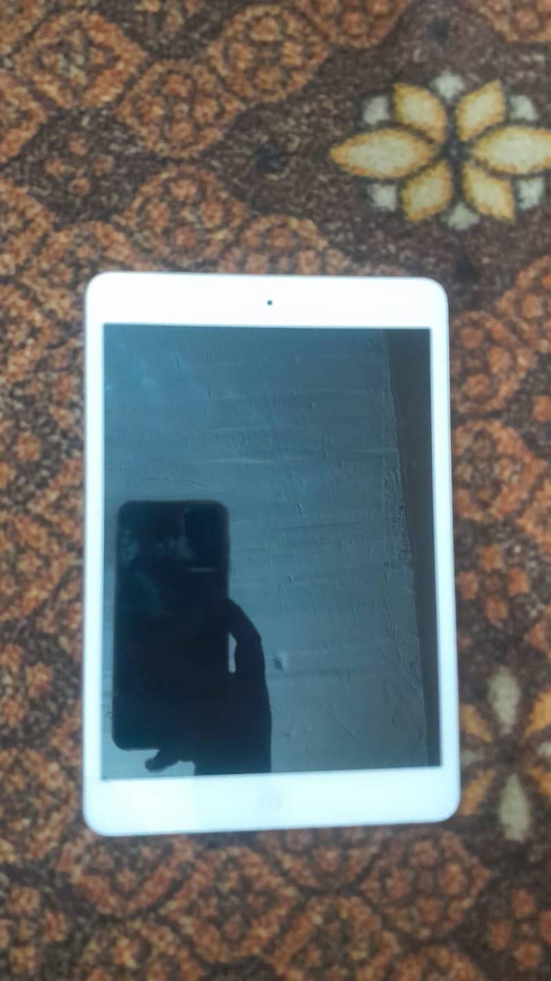 iPad mini 1 3