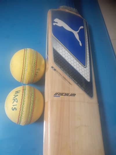 hard ball indoor cricket bat