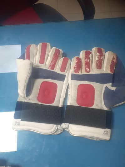 indoor cricket gloves