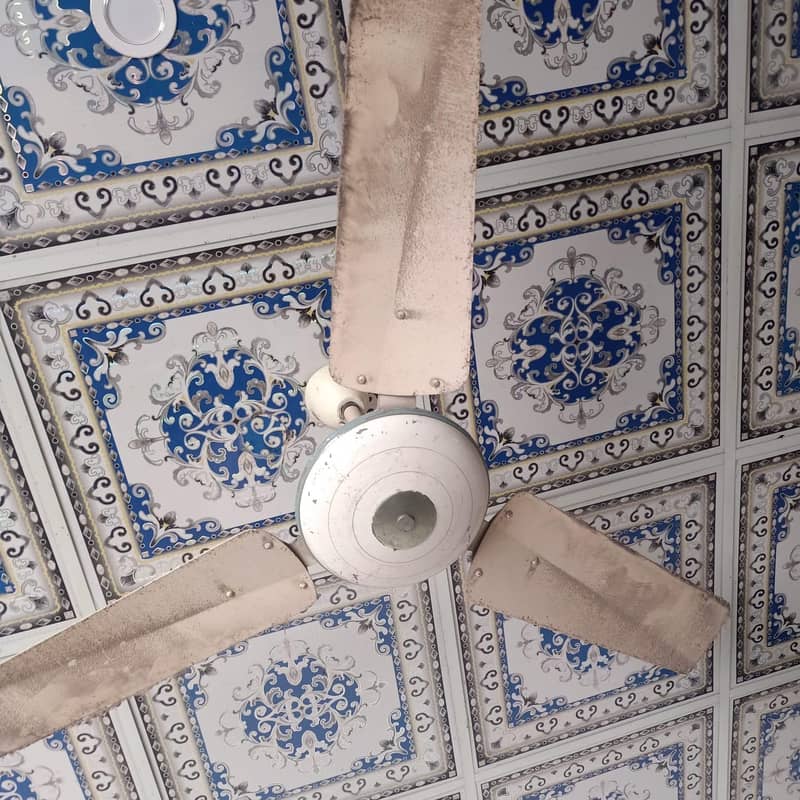 Ceiling Fan 1