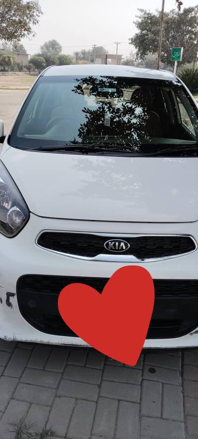 kia picanto