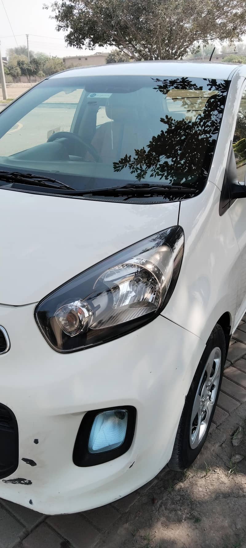 kia picanto 2