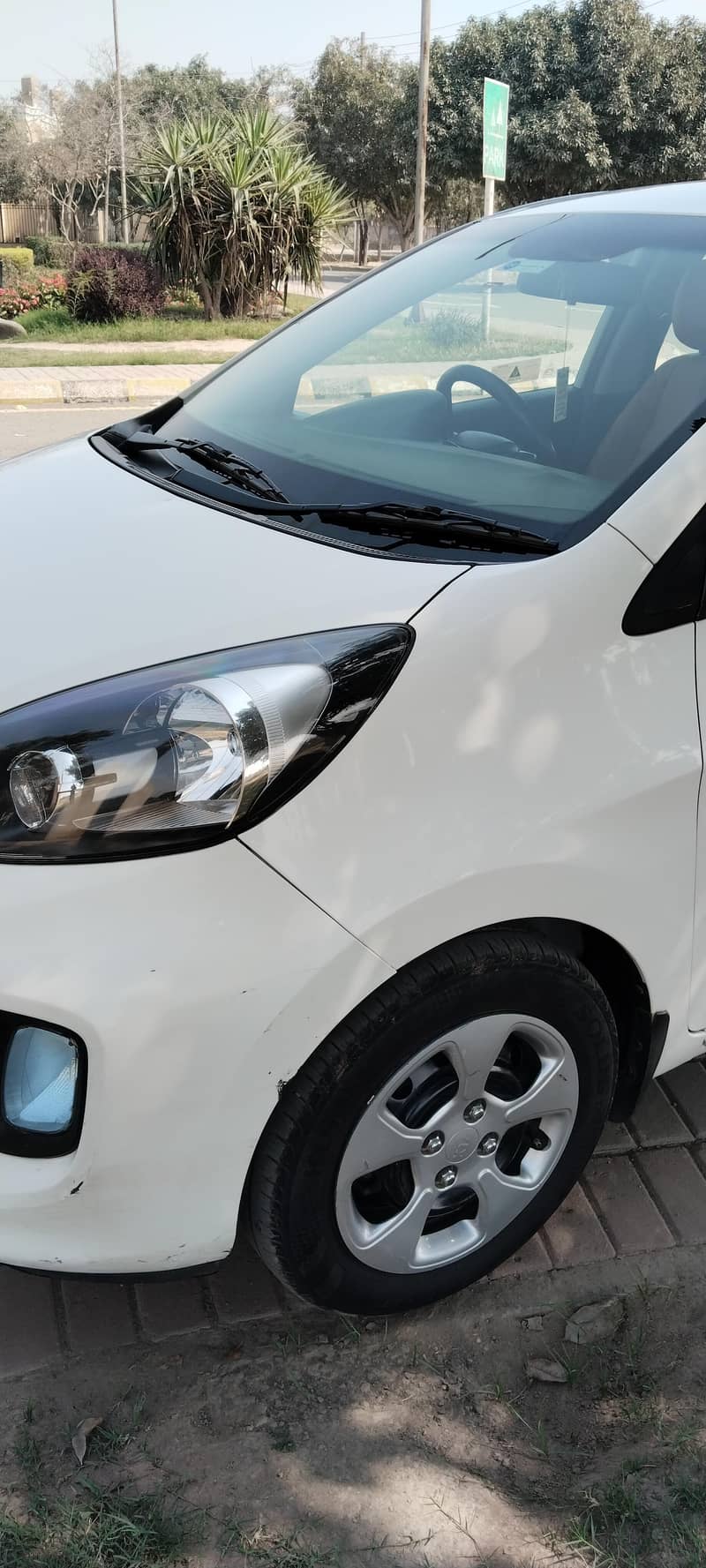 kia picanto 6
