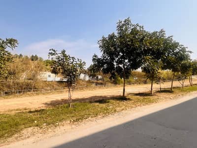 Umer Block 5 Marla Residential Open Transfer Plot(No Transfer Fee,No Tax) Near to Masjid And Park Available for sale at investor price