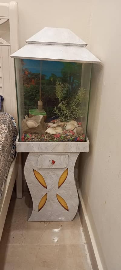 Fish aquarium