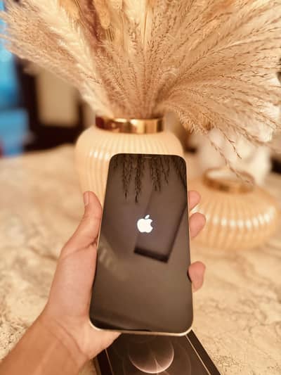 Iphone 12 pro max PTA Approved Physical +e sim