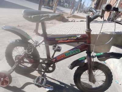 bacha cycle