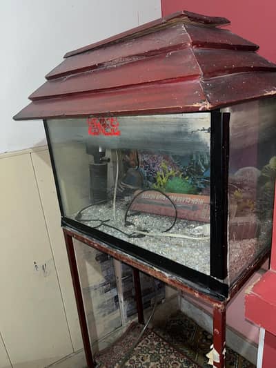 Fish Aquarium