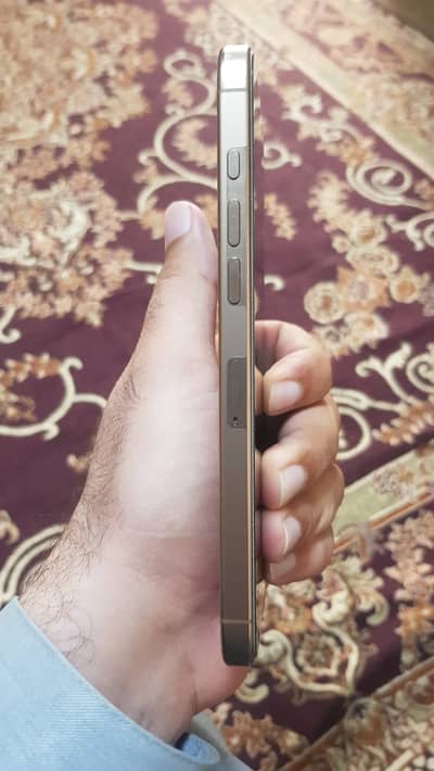 Apple iPhone 16 Pro Max 256 Gb