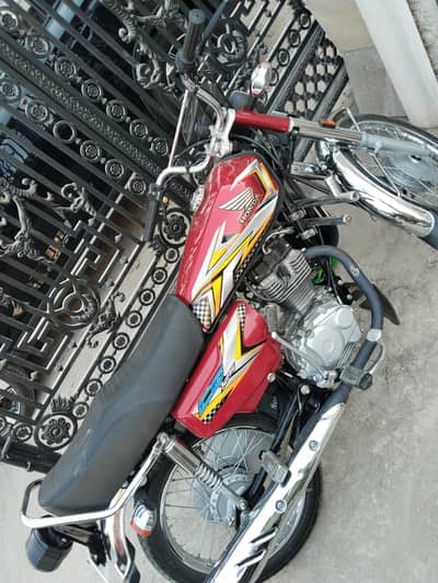 leash candtion 10by10