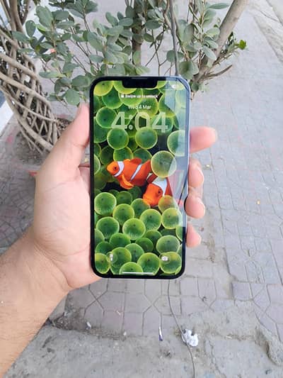 iphone 13 pro max 256gb