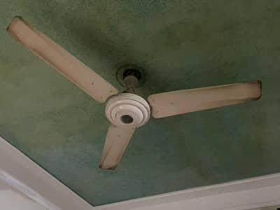 3 ceiling fans