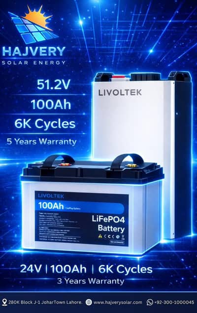 LIVOLTEK 24V/48V